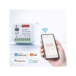 Alpsmart AS865 Wi-Fi ve 433 Mhz Akıllı Tuya Destekli Bariyer, Kayar Kapı, Kepenk Kontrol Kartı (Çift Kanal)