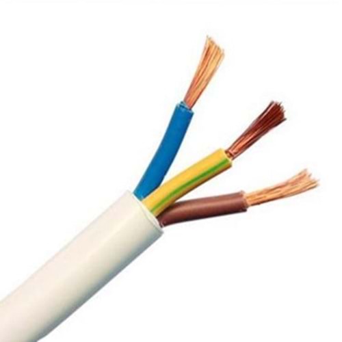 100 METRE ÖZNUR 3x2,5 TTR Bakır Elektrik Kablosu 243063