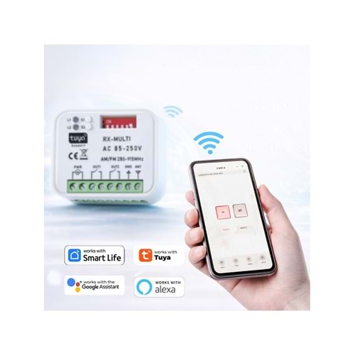 Alpsmart AS865 Wi-Fi ve 433 Mhz Akıllı Tuya Destekli Bariyer, Kayar Kapı, Kepenk Kontrol Kartı (Çift Kanal)